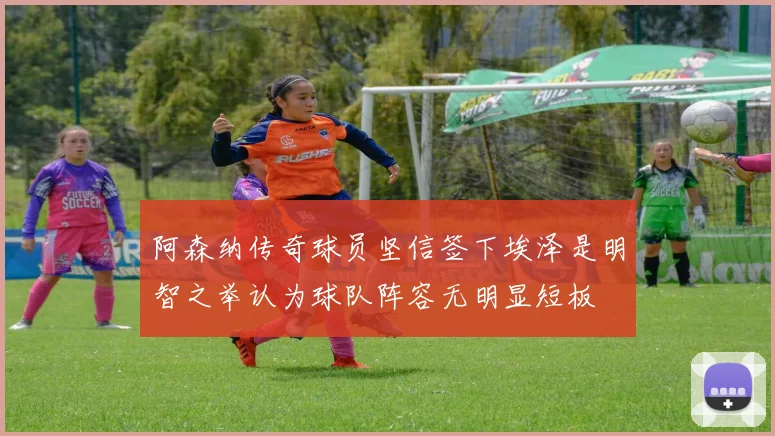 阿森纳传奇球员坚信签下埃泽是明智之举认为球队阵容无明显短板