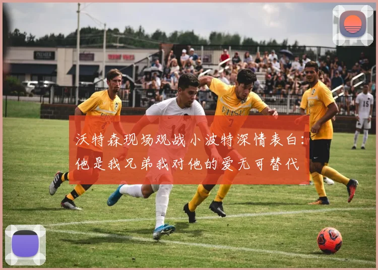 沃特森现场观战小波特深情表白：他是我兄弟我对他的爱无可替代