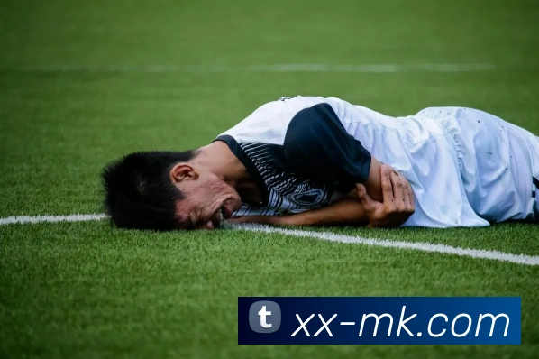 MK体育全站App