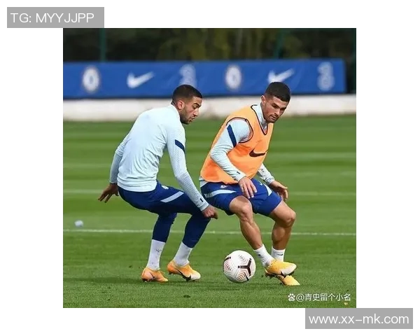 热刺认真评估买断帕利尼亚与弗兰克良好关系助力转会 热刺认真评估买断帕利尼亚与弗兰克良好关系助力转会